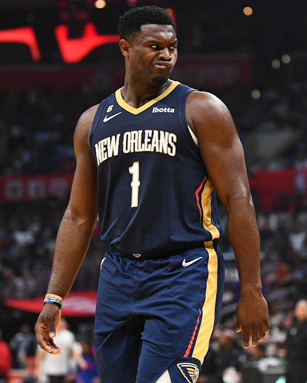 zion pelicans